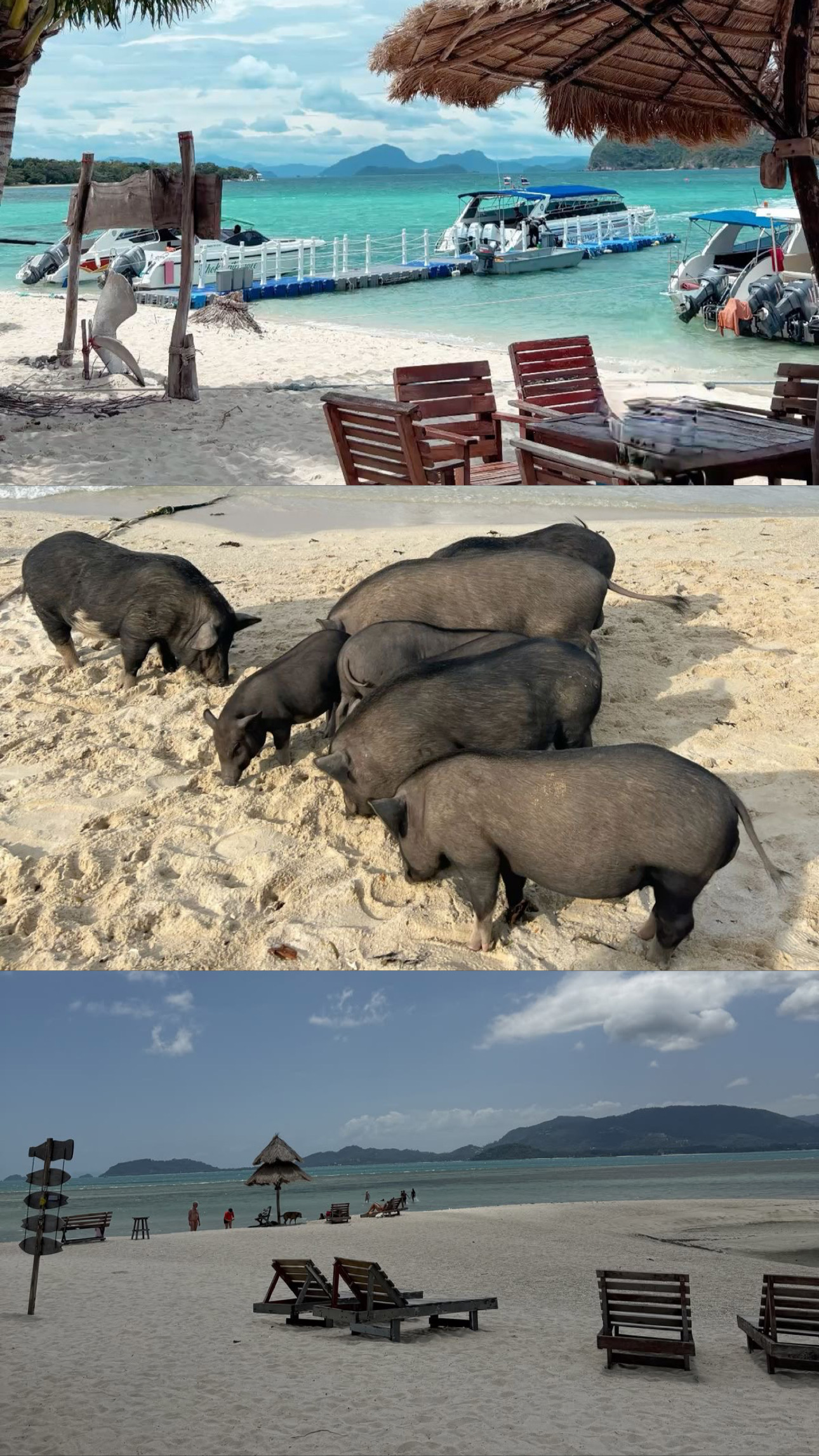 Pig Island & Koh Tan