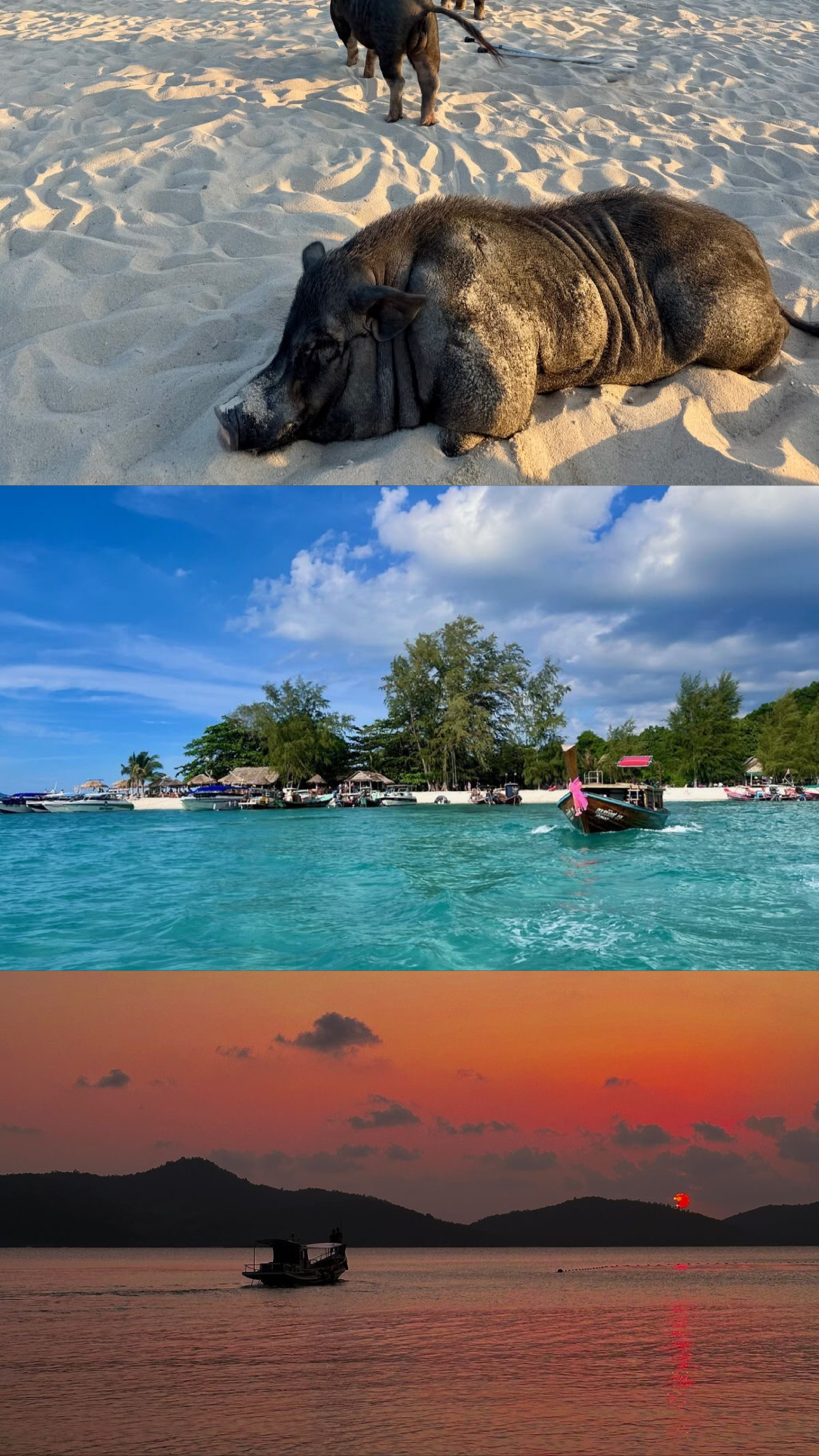 Pig Island beach, sea and sunset