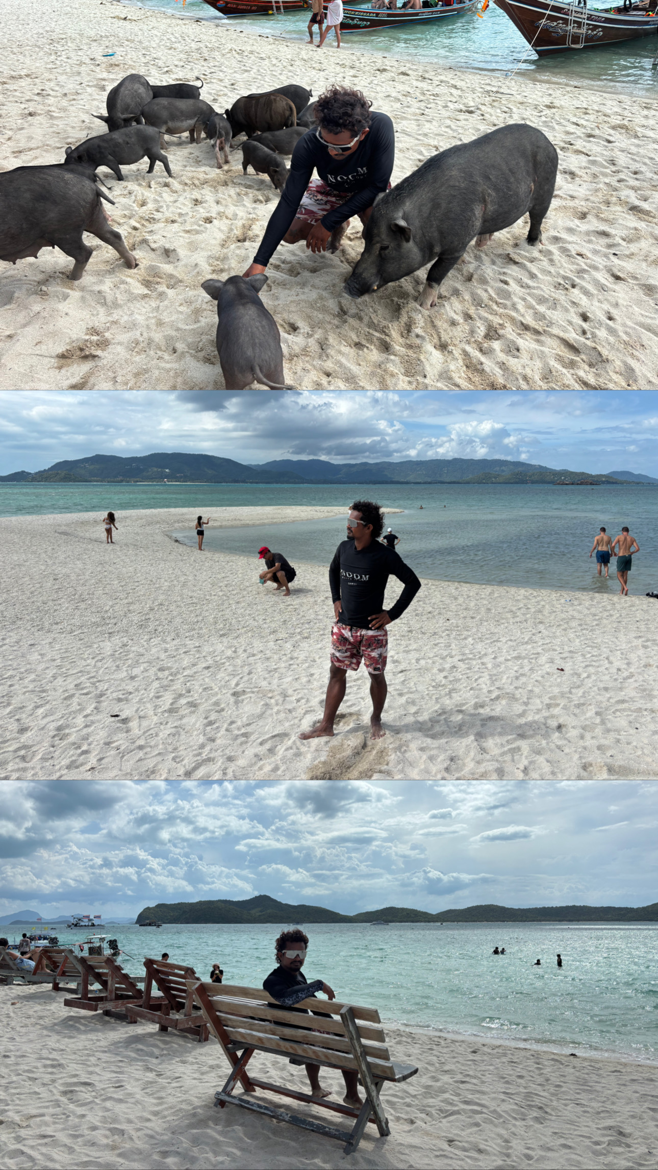 NOOM experience at Pig Island